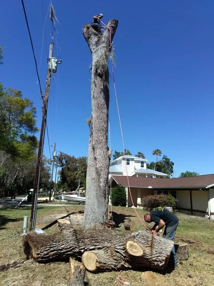 Trusted landscape installation experts serving Crystal River, FL - Dutcher's Lawn & Tree Service