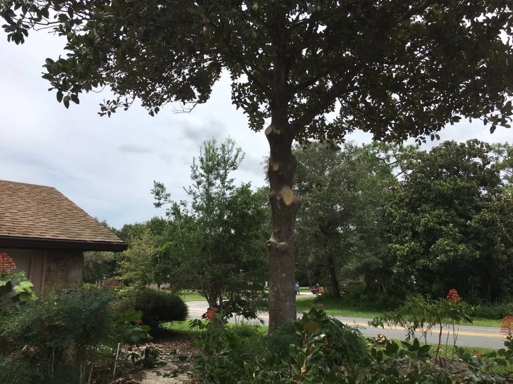 Local lawn mowing service experts serving Crystal River, FL - Dutcher's Lawn & Tree Service