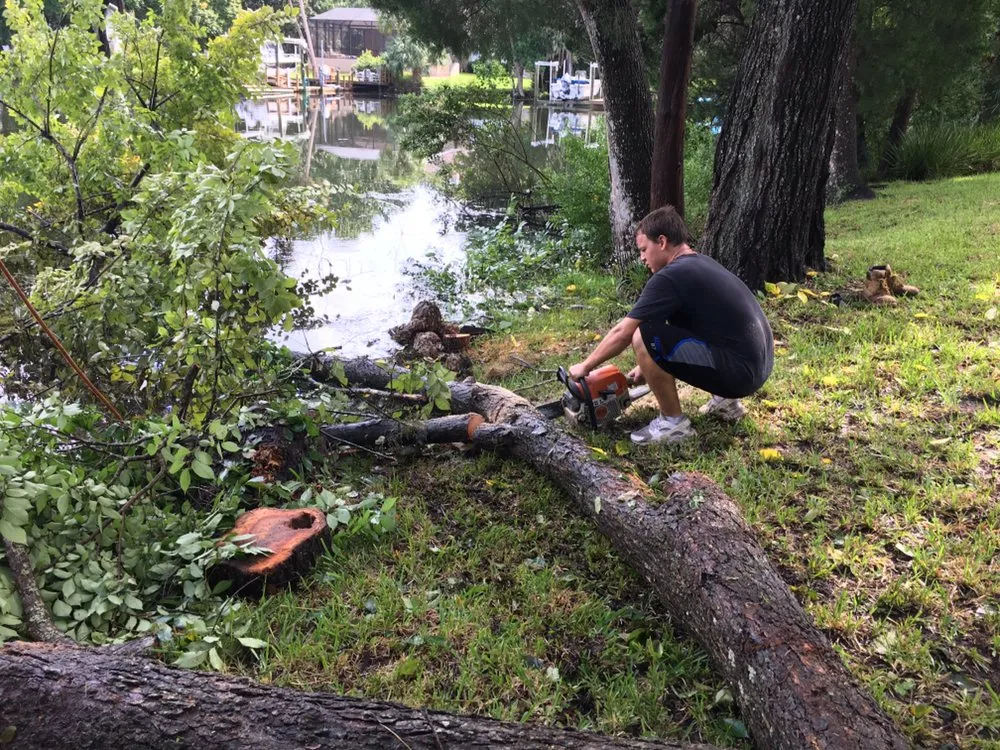 Local landscape design experts serving Crystal River, FL - Dutcher's Lawn & Tree Service