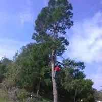 Professional garden landscaping for residential properties across Crystal River, FL - Dutcher's Lawn & Tree Service