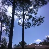 Custom yard cleanup service for outdoor upgrades across Crystal River, FL - Dutcher's Lawn & Tree Service