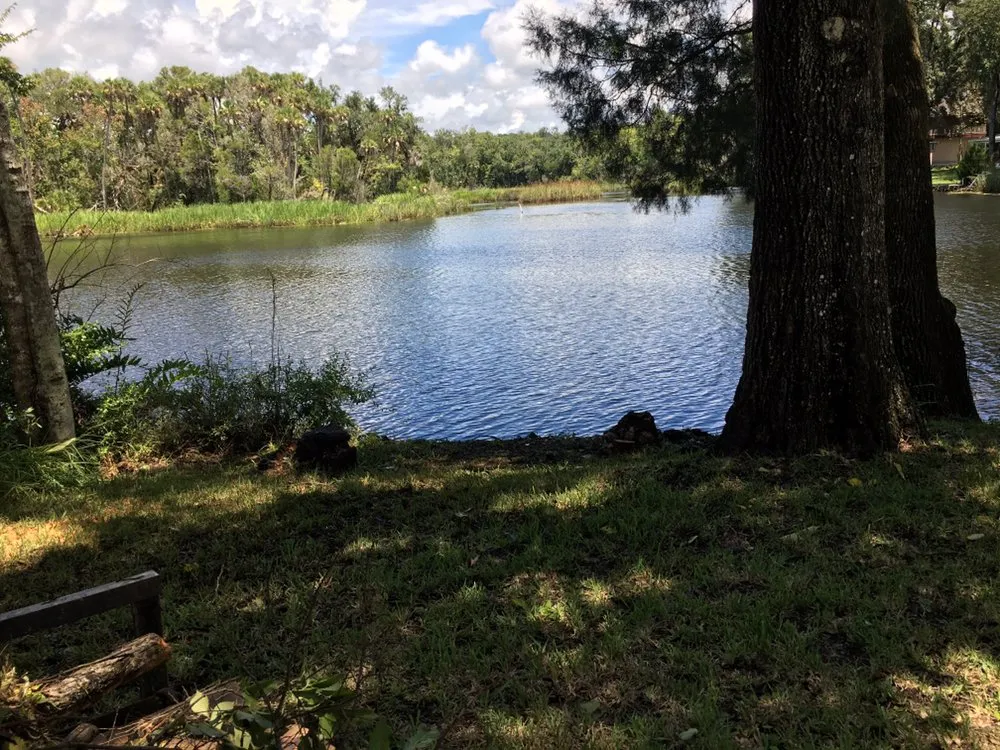 Expert yard maintenance experts serving Crystal River, FL - Dutcher's Lawn & Tree Service