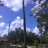 Top-rated outdoor landscaping in Crystal River, FL by Dutcher's Lawn & Tree Service