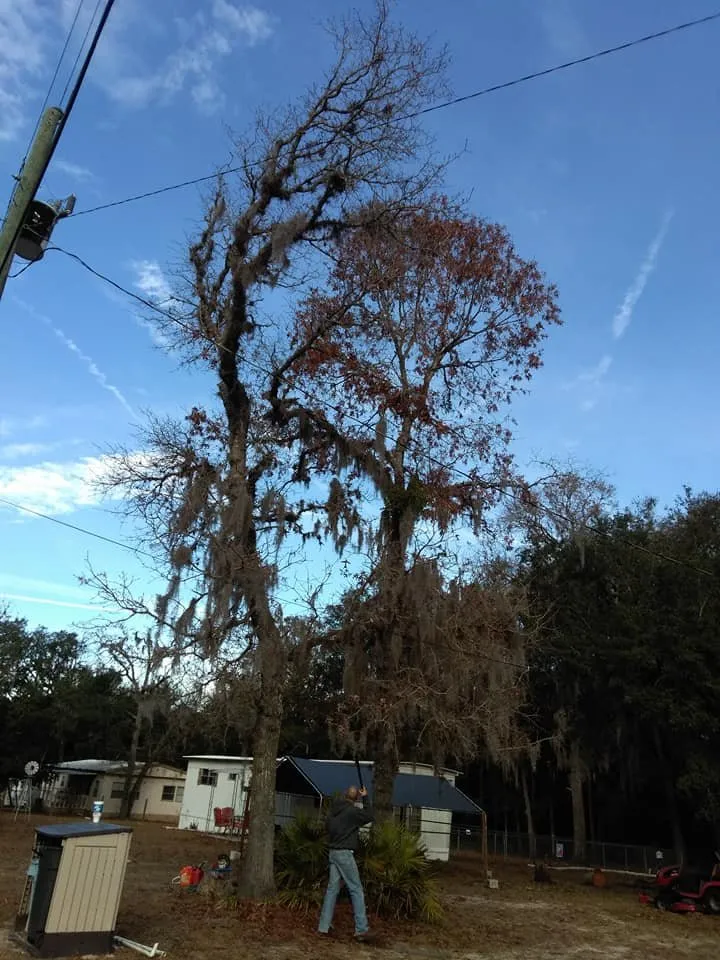 Local outdoor landscaping in Crystal River, FL - Dutcher's Lawn & Tree Service