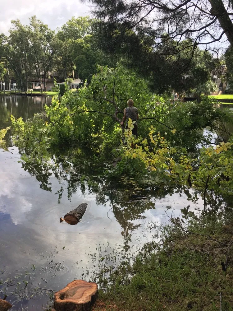 Expert residential landscaping experts serving Crystal River, FL - Dutcher's Lawn & Tree Service