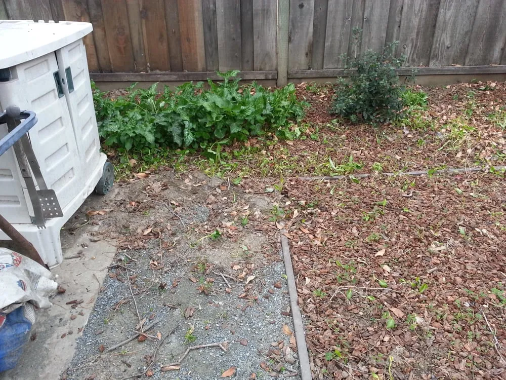 Expert residential landscaping with custom design in Fremont, CA by Dutra Landscape & Gardening