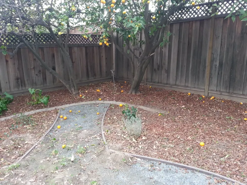 Top-rated landscaping services for residential properties in Fremont, CA by Dutra Landscape & Gardening