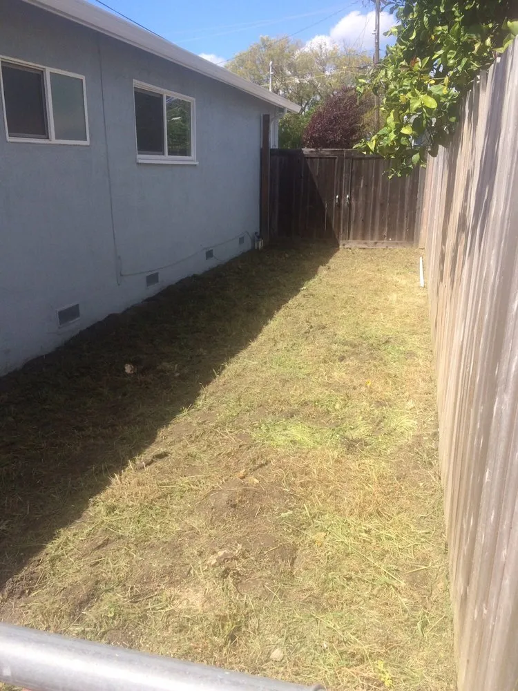 Affordable lawn mowing service in Fremont, CA - Dutra Landscape & Gardening