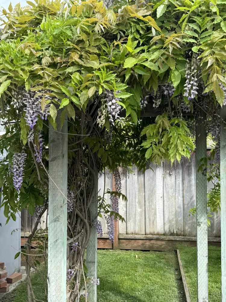 Affordable garden landscaping for residential properties in Fremont, CA by Dutra Landscape & Gardening