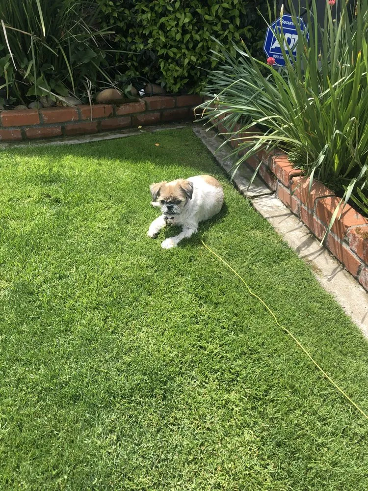 Custom landscaping services experts serving Fremont, CA - Dutra Landscape & Gardening