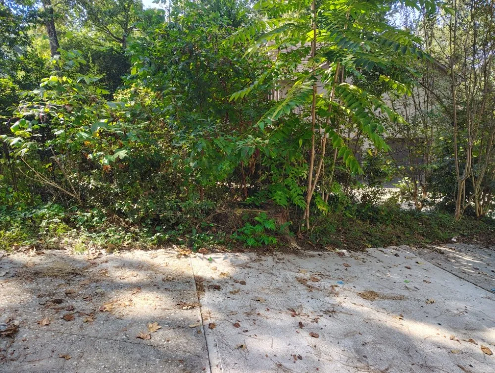 Local outdoor landscaping for homes in Stone Mountain, GA by Dutton Lawncare