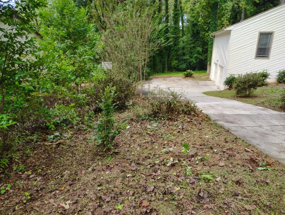 Top-rated lawn care service experts serving Stone Mountain, GA - Dutton Lawncare