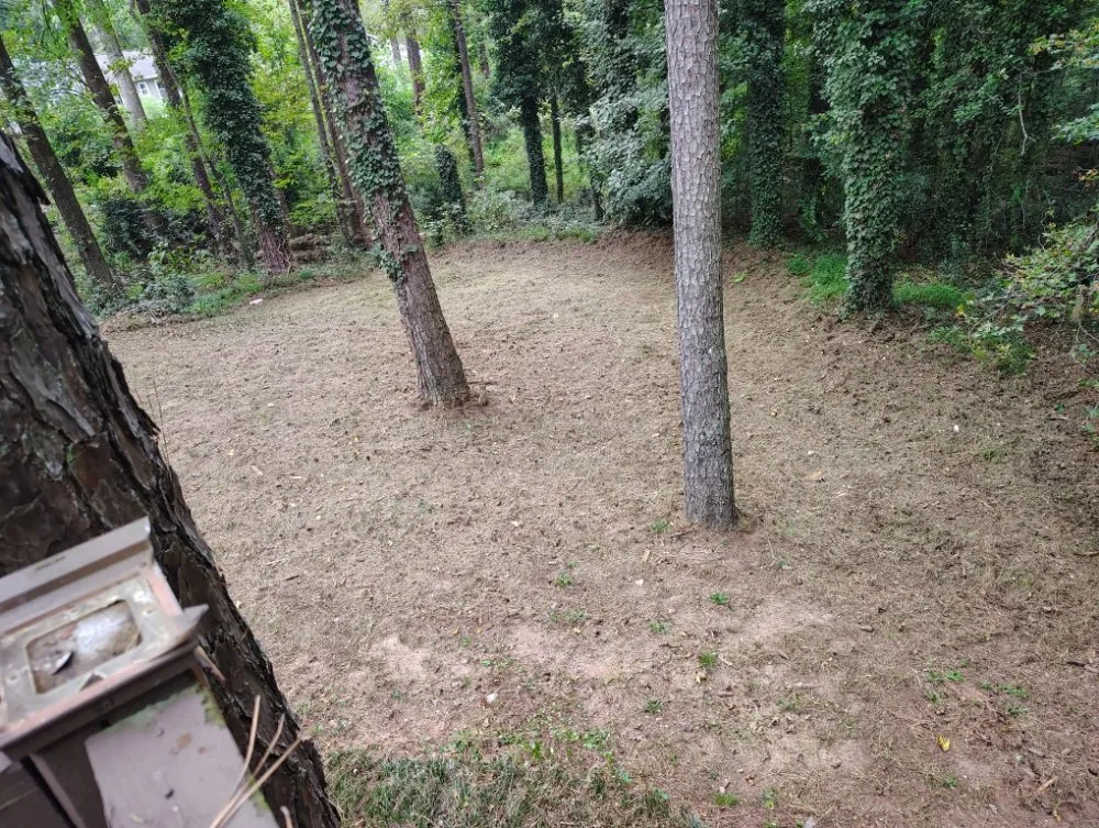 Top-rated yard cleanup service in Stone Mountain, GA - Dutton Lawncare