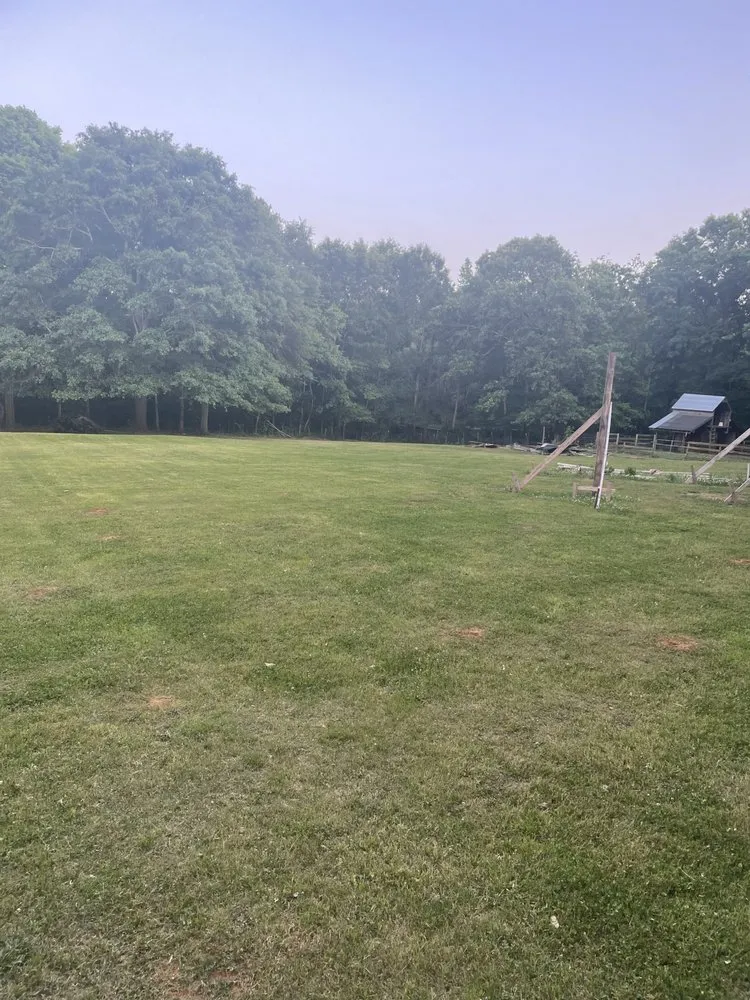 Professional yard cleanup service experts serving Jefferson, GA - Dutton’s Lawn Care