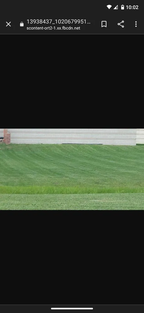 Custom yard maintenance for year-round maintenance in Delta, OH by Dutty and Son's Lawn Care