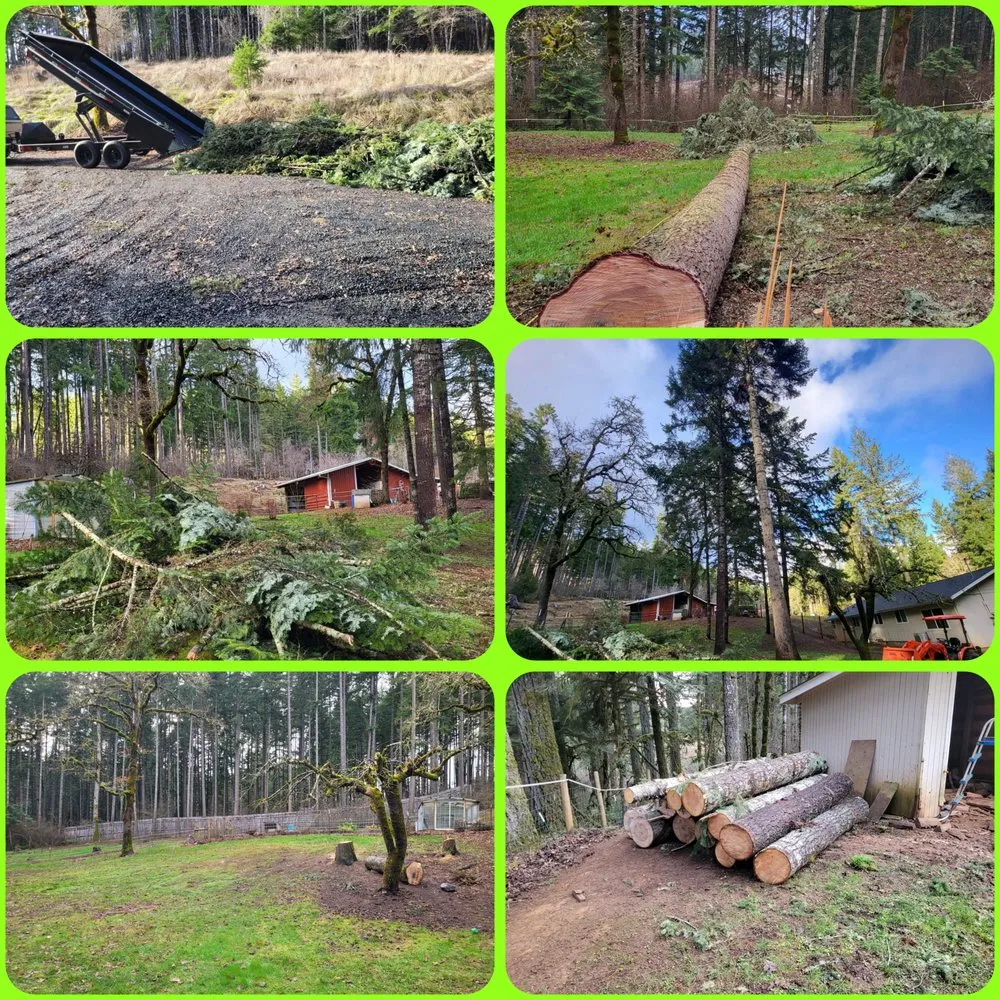 Custom lawn care service in Elmira, OR - Duval Land Management and Construction