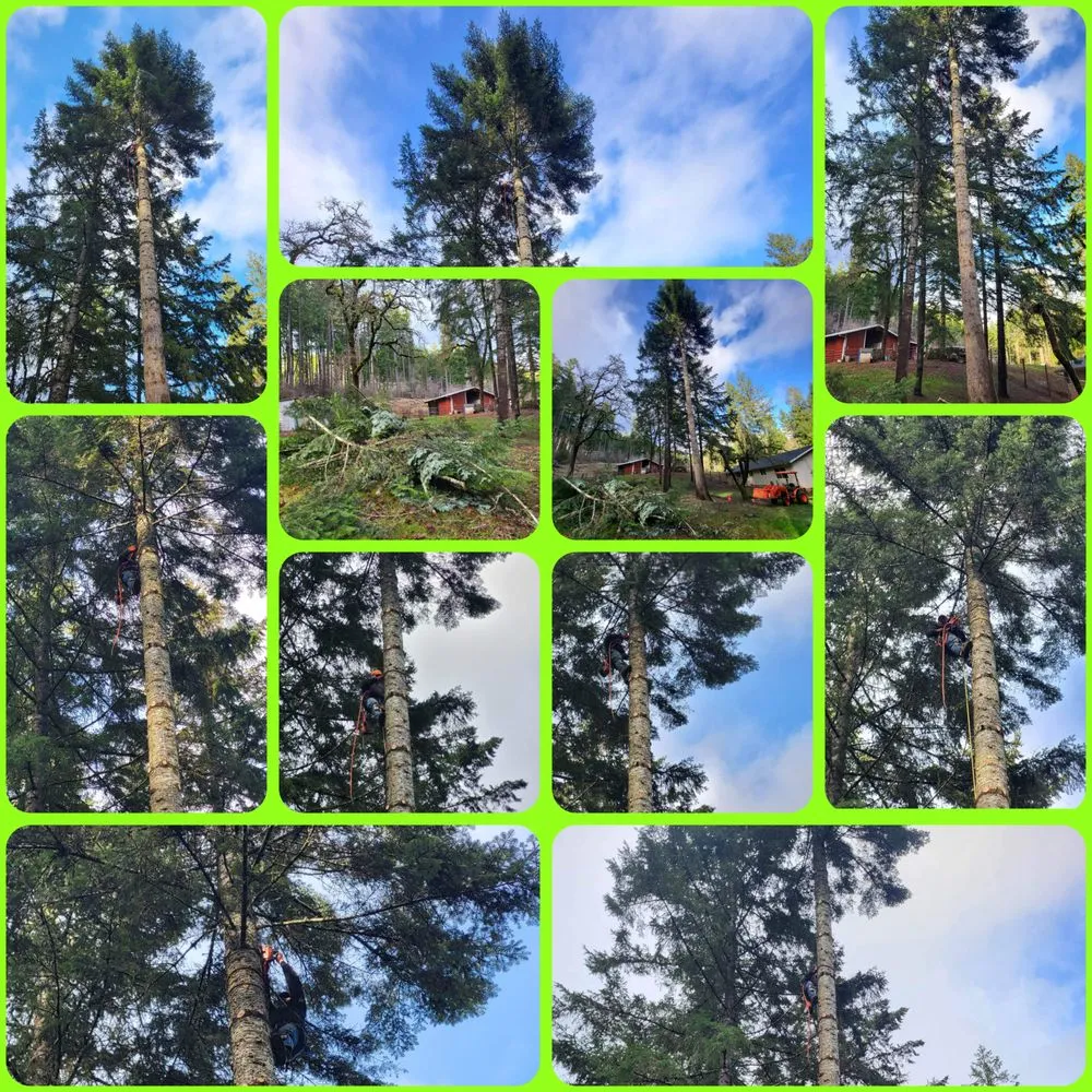 Reliable garden landscaping near you across Elmira, OR - Duval Land Management and Construction