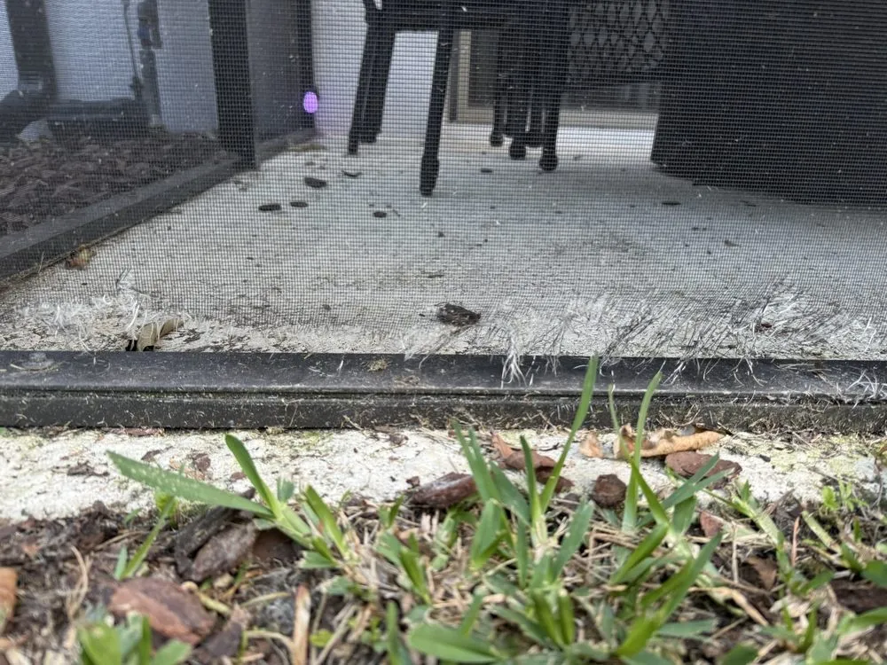 Custom lawn mowing service for residential properties across Jacksonville, FL - Duval Landscape Maintenance