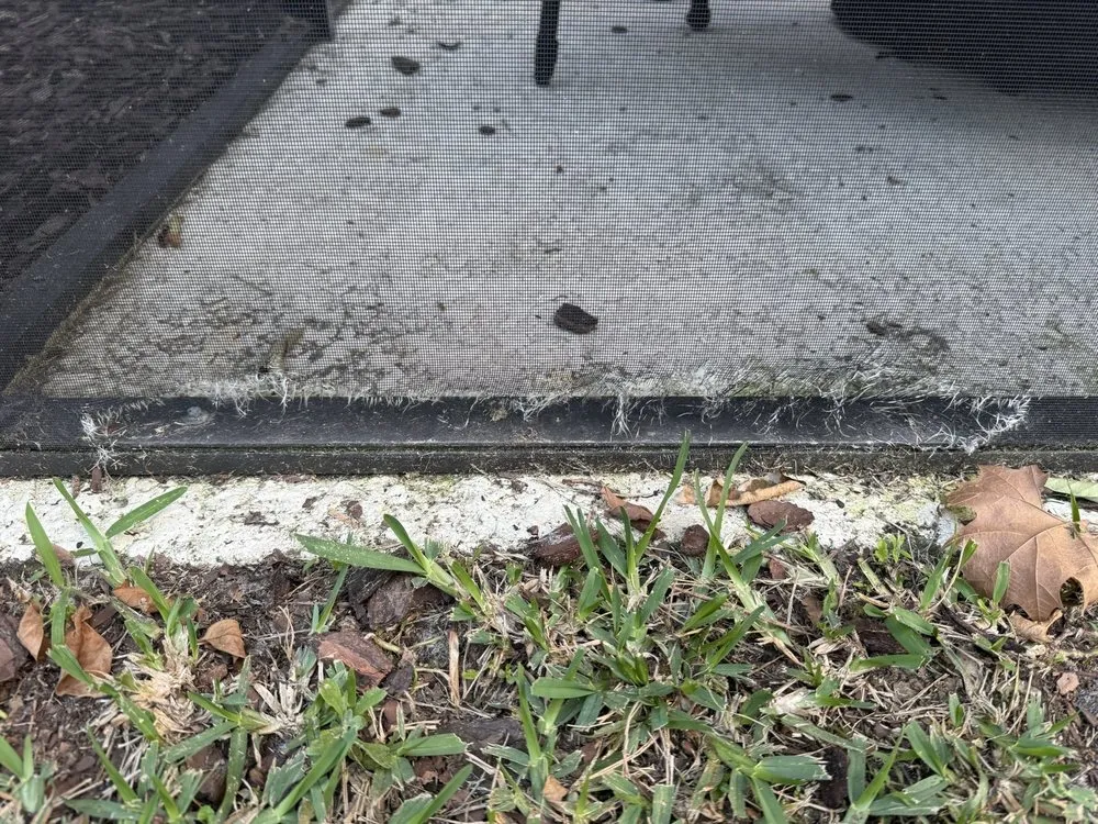 Custom yard maintenance for outdoor upgrades in Jacksonville, FL by Duval Landscape Maintenance