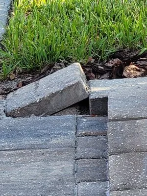 Duval Landscape Maintenance Logo