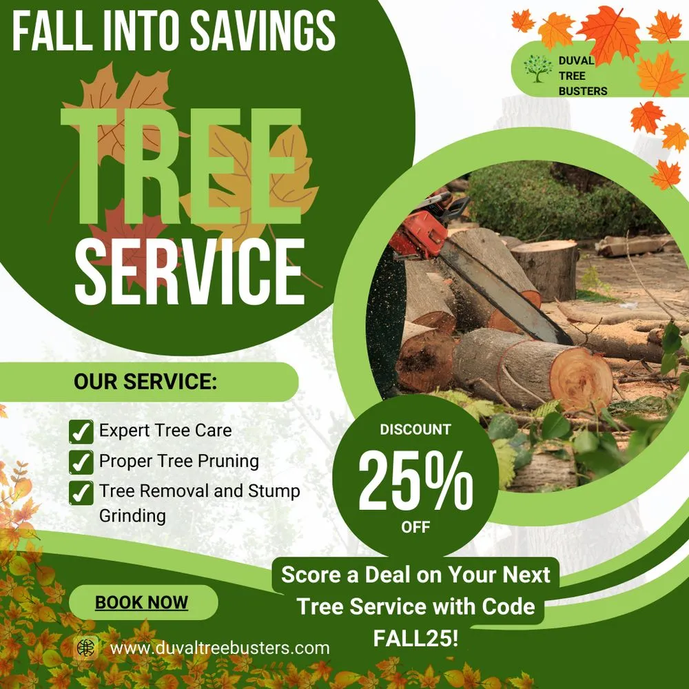 Custom lawn care service in Jacksonville, FL by Duval Tree Busters