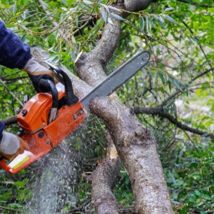 Expert lawn mowing service experts serving Jacksonville, FL - Duval Tree Busters