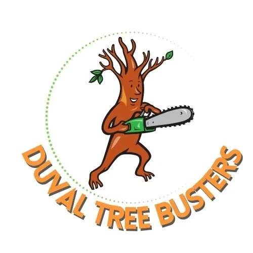 Reliable landscaping services for outdoor upgrades in Jacksonville, FL by Duval Tree Busters