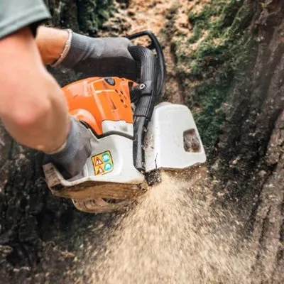 Duval Tree Busters Logo