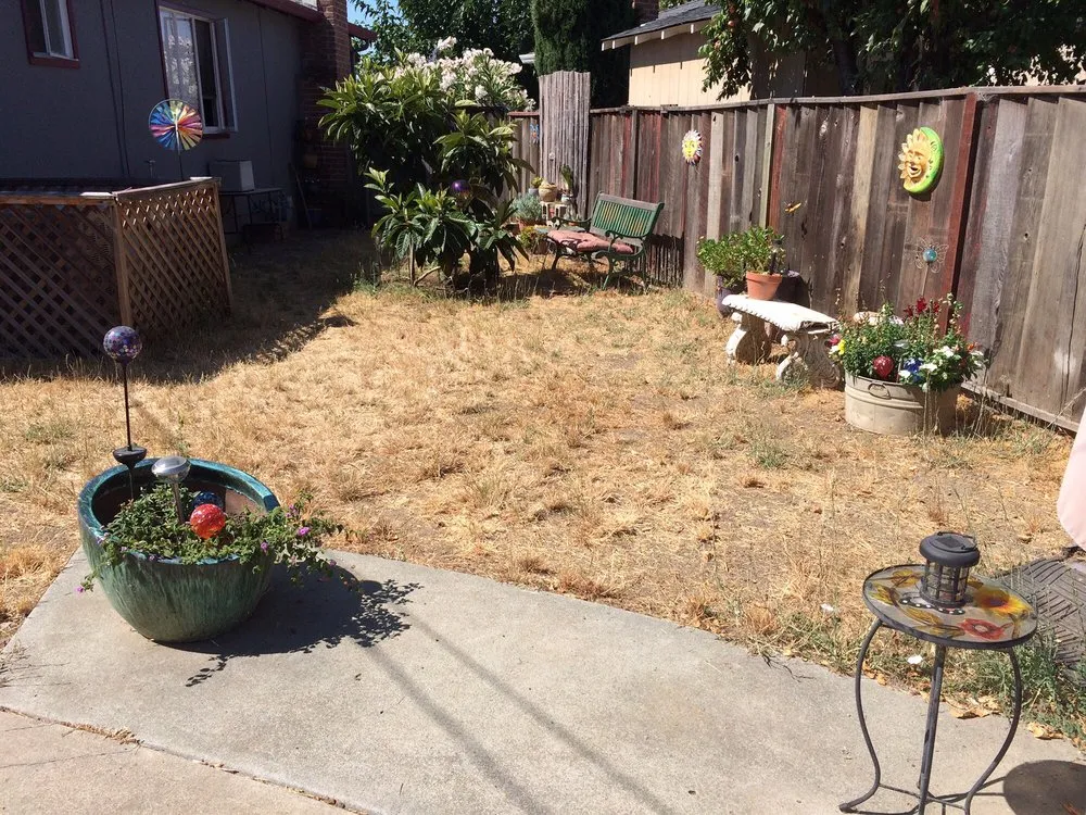 Local yard cleanup service with custom design in San Jose, CA by Duvall Family Landscape