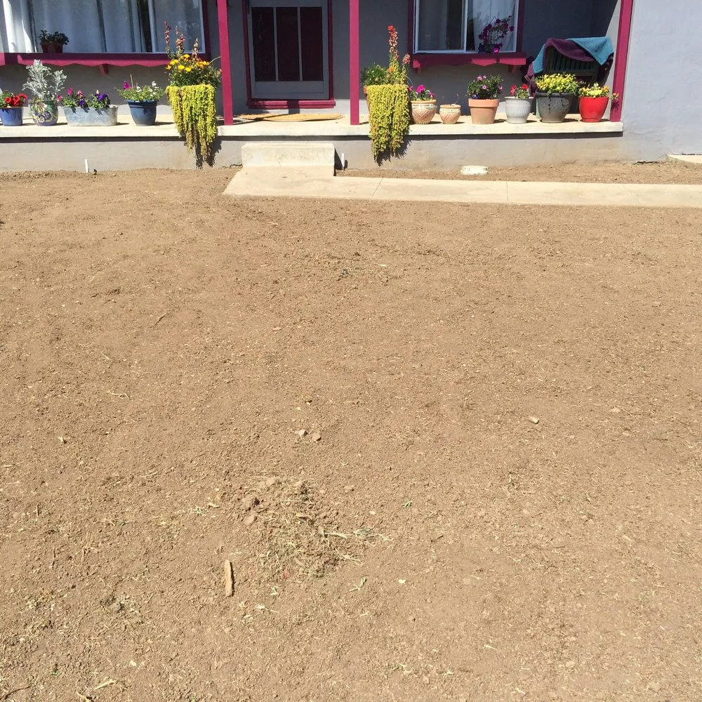 Professional lawn care service for outdoor upgrades in San Jose, CA by Duvall Family Landscape