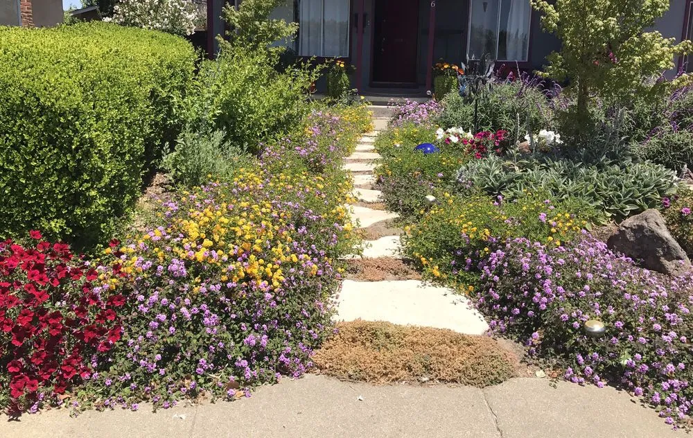 Local landscape design in San Jose, CA - Duvall Family Landscape