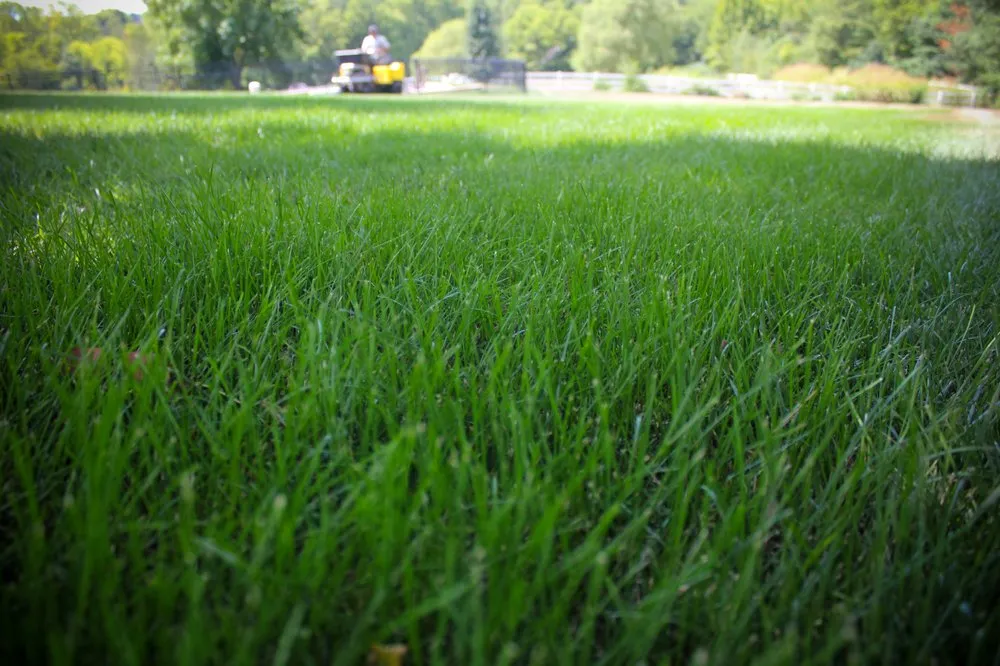 Expert lawn care service for year-round maintenance in Saint Joseph, MO by Duvall Lawn Care Inc