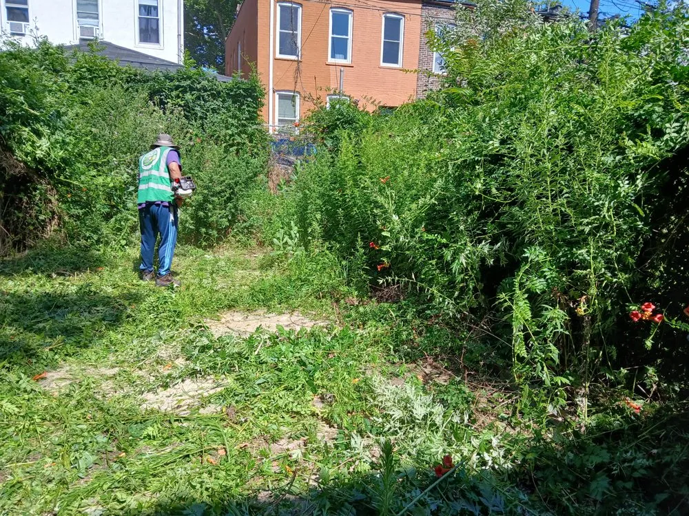 Professional outdoor landscaping in Howard Beach, NY by DV & B Express