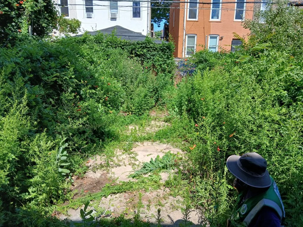 Top-rated garden landscaping for homes in Howard Beach, NY by DV & B Express