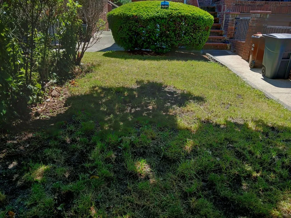 Custom residential landscaping in Howard Beach, NY by DV & B Express