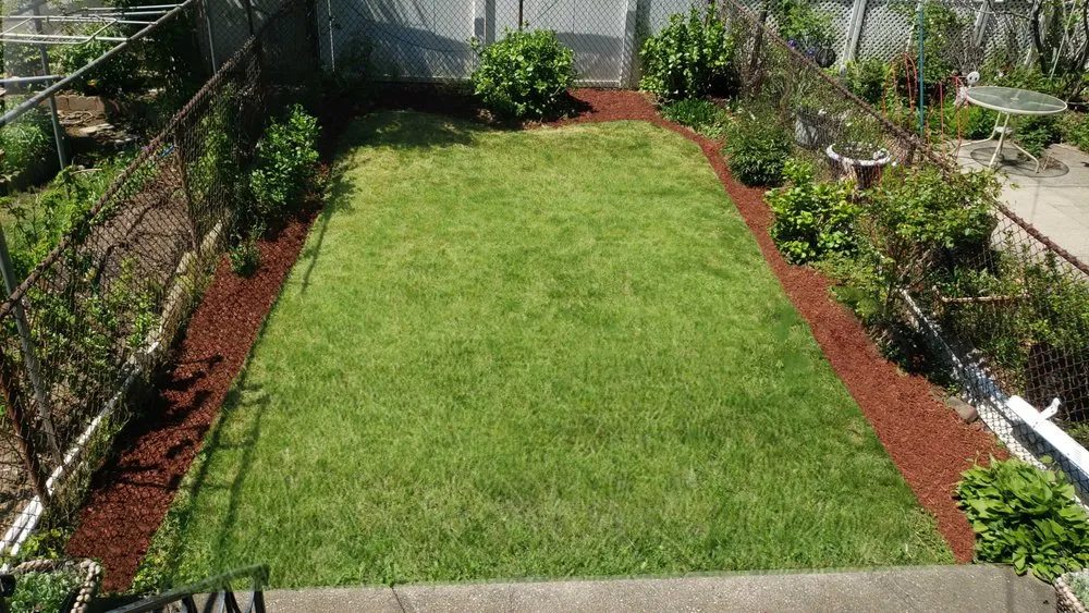 Affordable residential landscaping for residential properties in Howard Beach, NY by DV & B Express