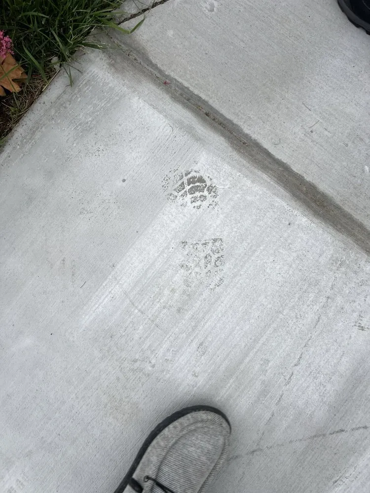 Custom yard cleanup service in Denver, CO - D&V Concrete And Landscaping