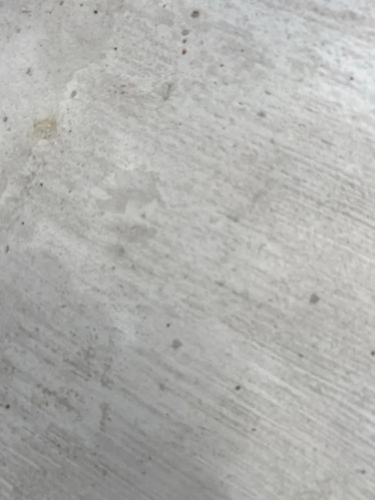 Affordable lawn mowing service in Denver, CO - D&V Concrete And Landscaping