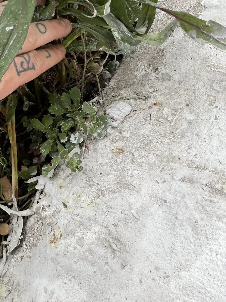 Reliable landscape design with custom design in Denver, CO by D&V Concrete And Landscaping