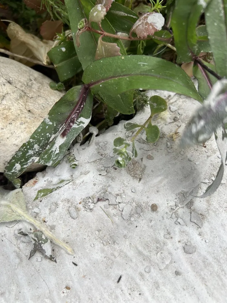 Expert outdoor landscaping with custom design across Denver, CO - D&V Concrete And Landscaping