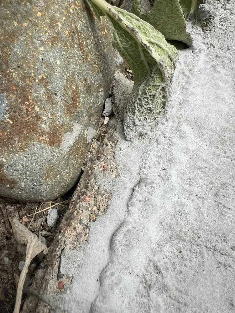 Trusted outdoor landscaping experts serving Denver, CO - D&V Concrete And Landscaping