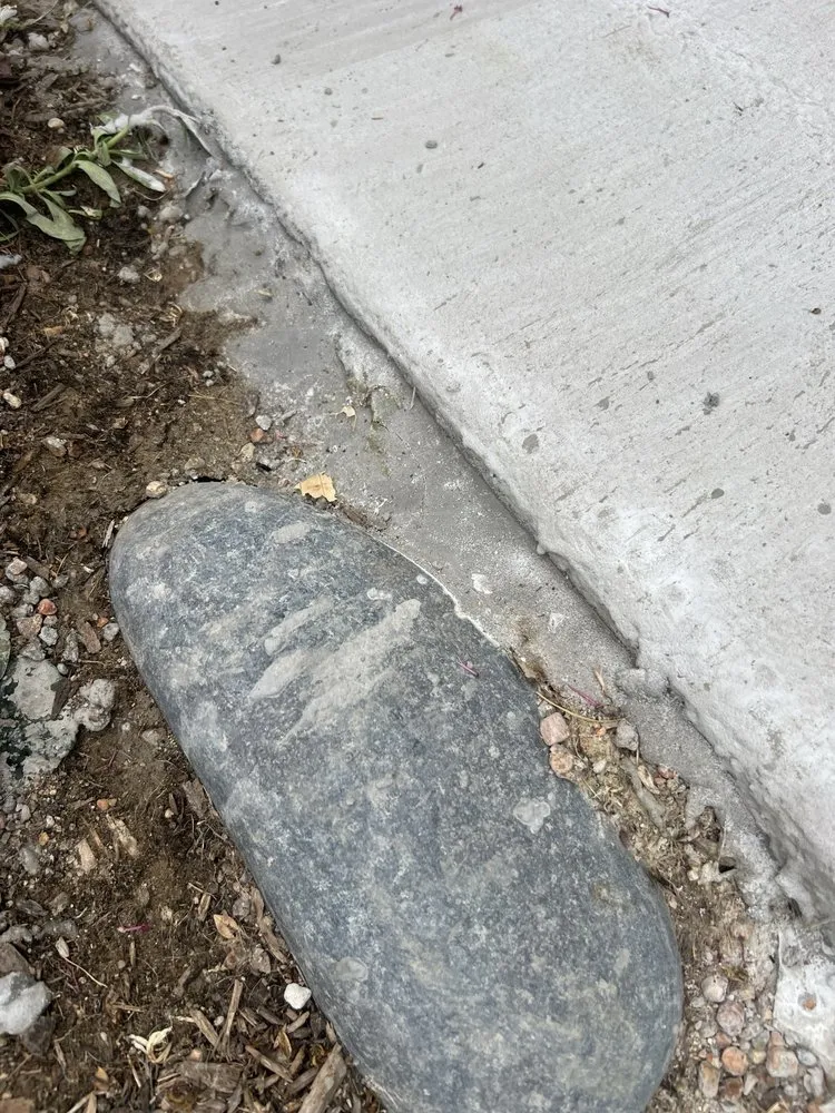 Professional lawn care service in Denver, CO - D&V Concrete And Landscaping