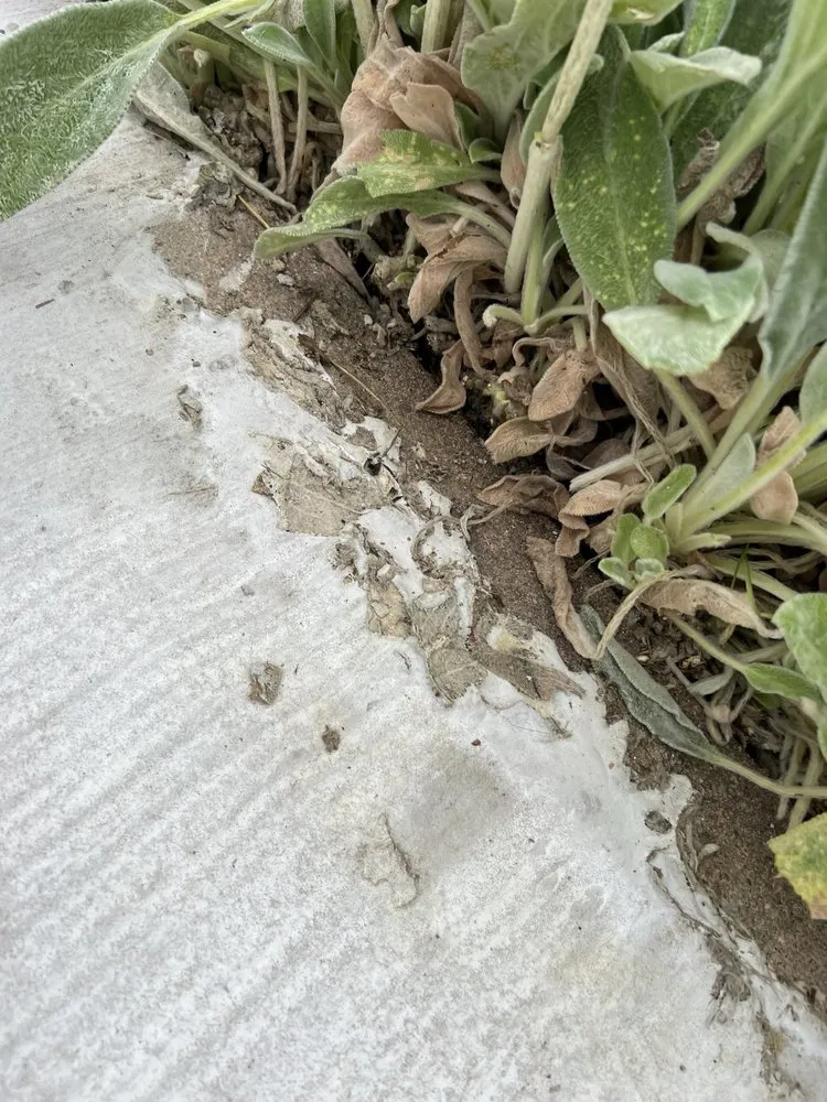 Top-rated landscaping services experts serving Denver, CO - D&V Concrete And Landscaping