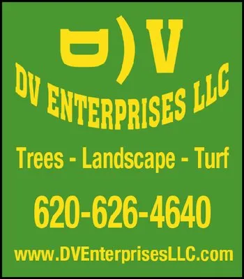 DV Enterprises