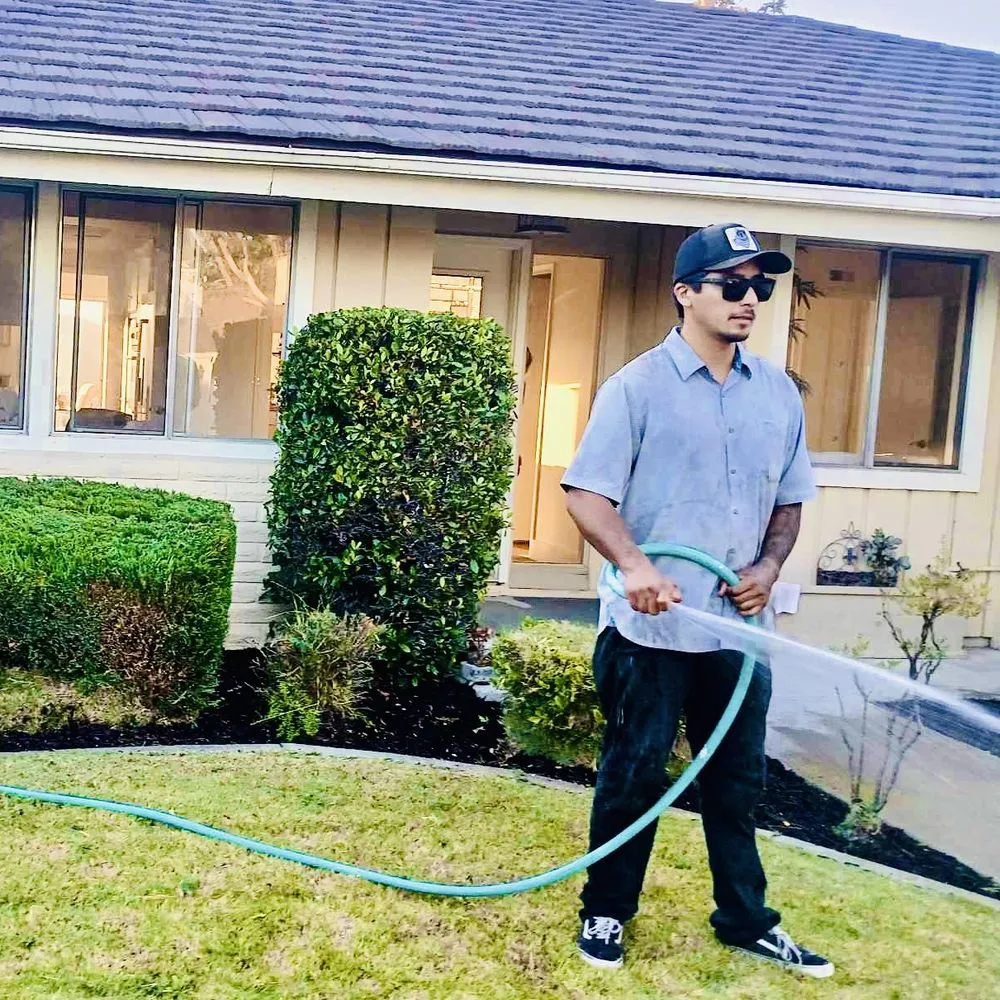 Affordable yard maintenance for outdoor upgrades in San Clemente, CA by DV Landscape & Irrigation