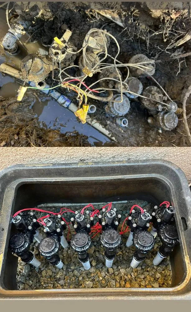 Local yard cleanup service for homes in San Clemente, CA by DV Landscape & Irrigation