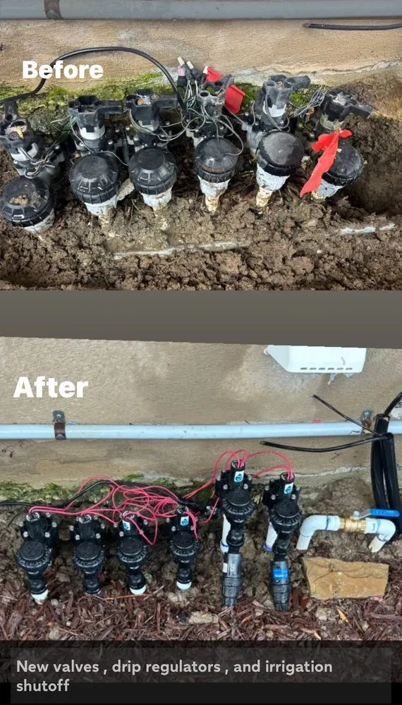 Expert yard maintenance for beautiful yards across San Clemente, CA - DV Landscape & Irrigation