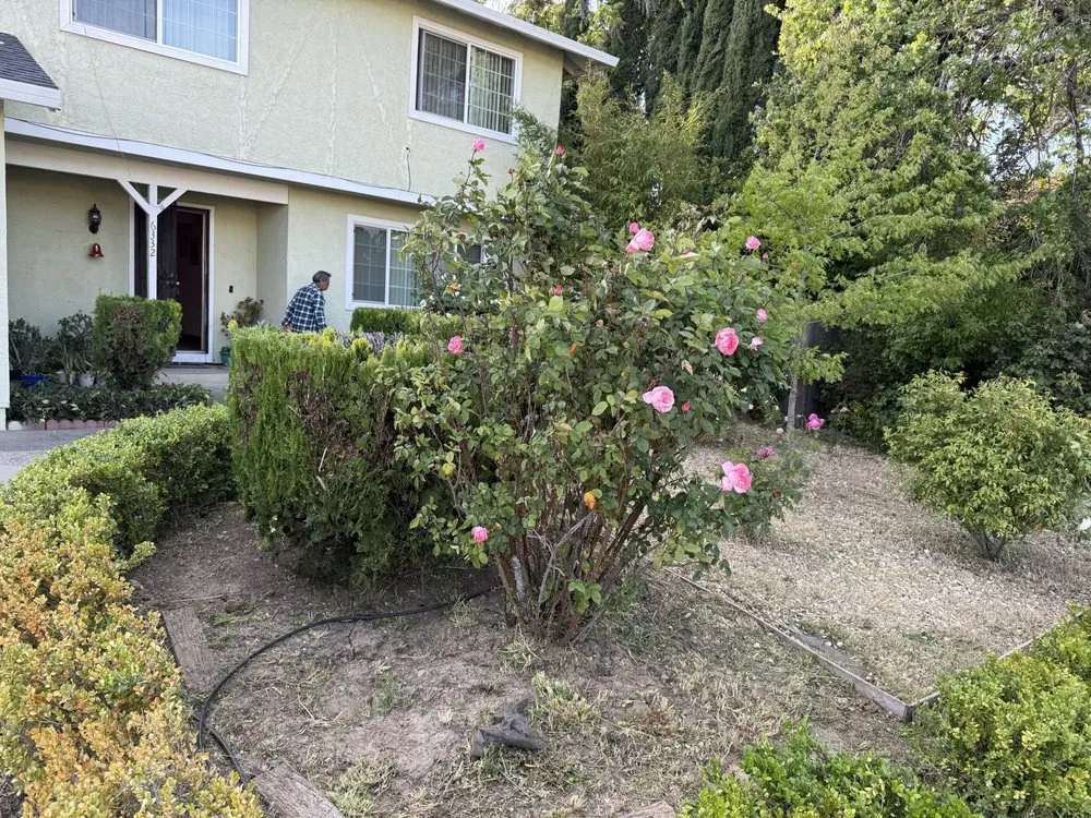 Professional landscaping services in Sacramento, CA - DV Landscape
