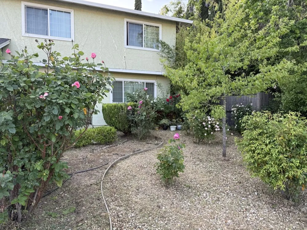 Local yard maintenance for homes across Sacramento, CA - DV Landscape