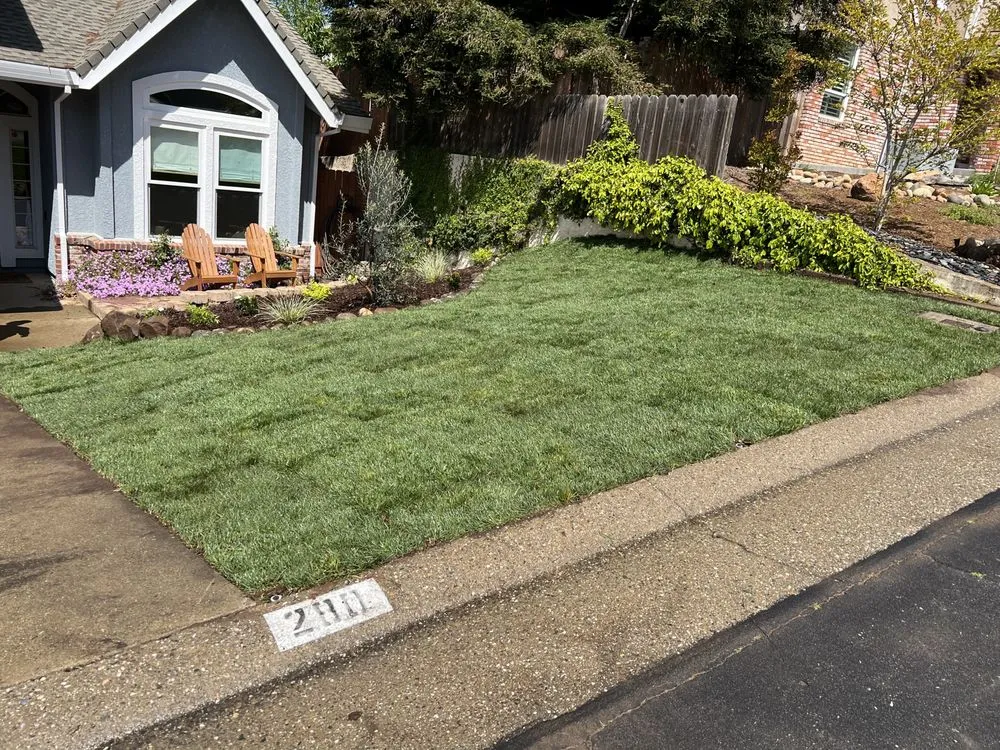 Custom landscape design in Sacramento, CA by DV Landscape